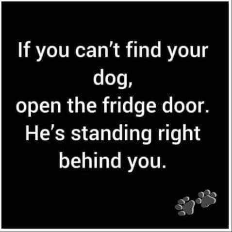 FB_IMG_1634908267610