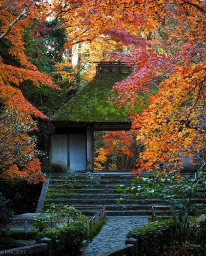 245559649_422060992623242_5155210767057068049_n