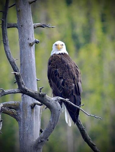 12:20:19 GMT-0400 (EDT).image