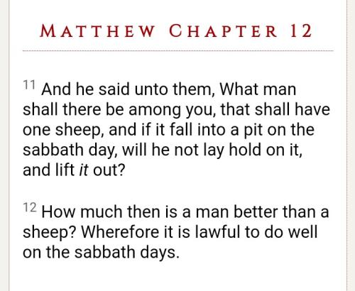 Screenshot_20211015-221114_DuckDuckGo