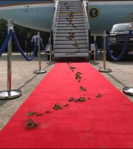 FB_IMG_1635719875561