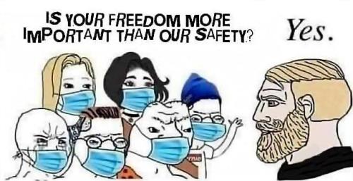 247120480_119070970544301_7939751691625547664_n