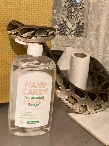 FB_IMG_1635358721088