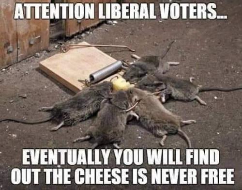 242027936_4647823651906019_5858214823381967890_n