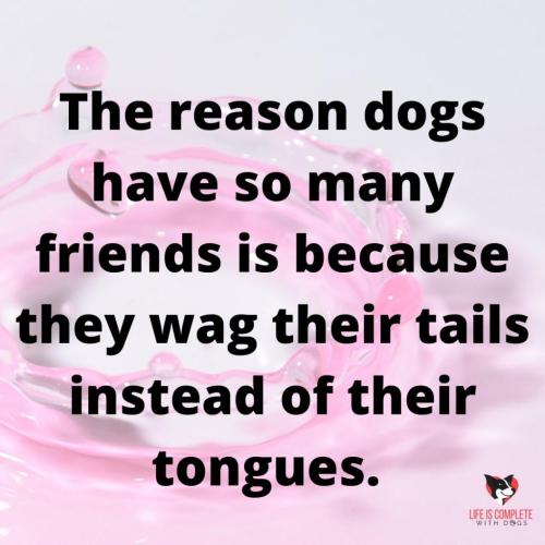 243977996_2961154704195080_1288814994580982518_n