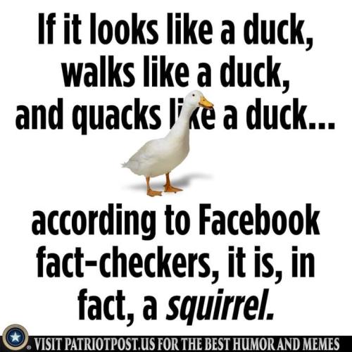 FB_IMG_1634856654222