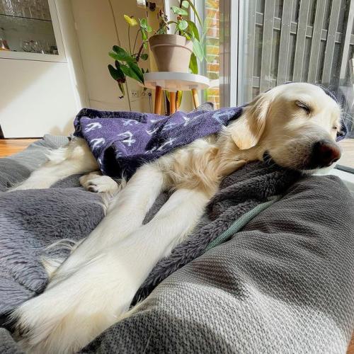 163304665_3442335269201510_8709819616712685482_n