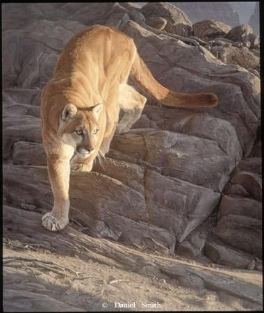 09:34:07 GMT-0500 (CDT)