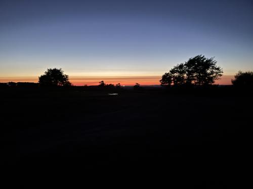 C0095695-E50F-4A1F-B392-CCF4D5CCBE19