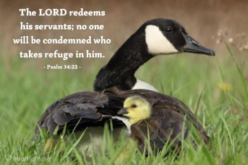 0000000000000000000000000000000000000000000000000000000000000000000000000000000000000000000000000000000000000000000000000000000000000000000000000000000000000000000000000000000000000000000000000mnbhpolkmnjhuy