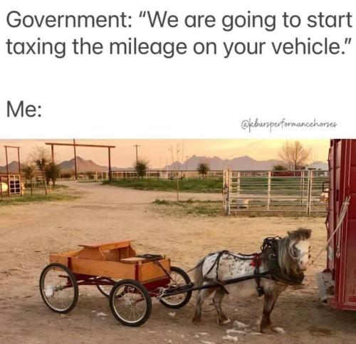 244770053_10227407787923710_542440563710680473_n