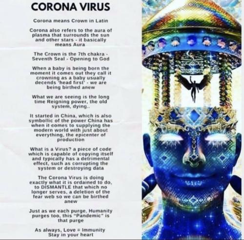 IMG_5132