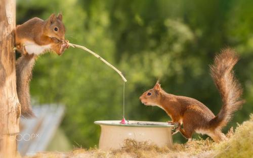 10:57:28 GMT-0400 (EDT)