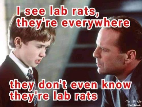 12:03:08 GMT-0400 (EDT)