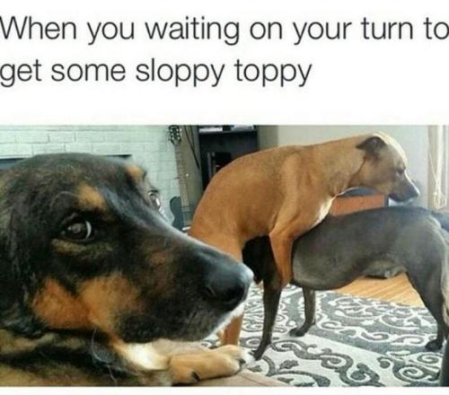 sloppy toppy