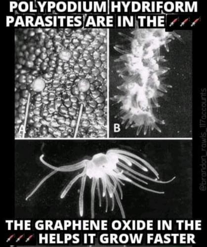 01:47:07 GMT-0500 (CDT)