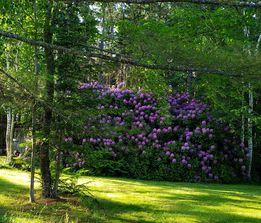 196853302_10225588320842838_2537385189651953942_n