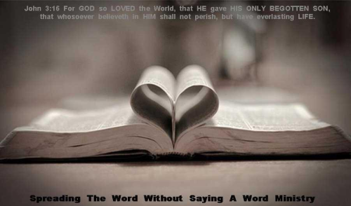 244183378_454790409187989_1054565119620054118_n