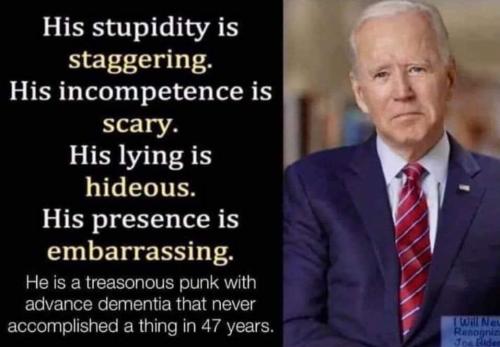 biden stupid f