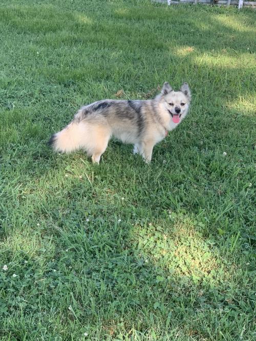 98D6FB86-AAE2-4CB7-BE60-B27EC7A2943A