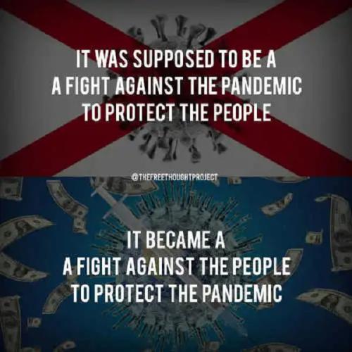 248438609_1378982892534228_5574899170411676451_n