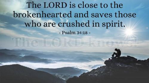 000000000000000000000000000000000000000000000000000000000000000000000000000000000000000000000000000000000000000000000000000000000000000000000000000000000000000000000000000000000000000000000000nbpl,mnbcxdser