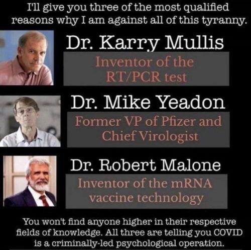 IMG_20211015_203211_098