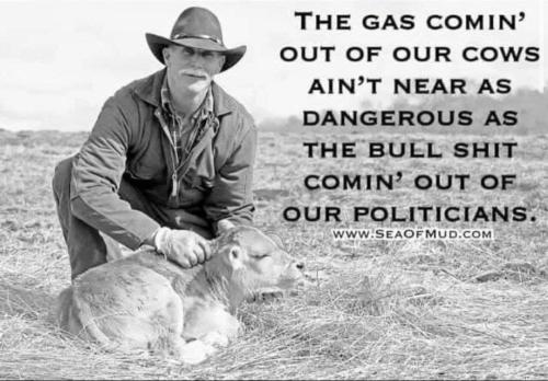 2021-10-17_15-43-33 Cow gas