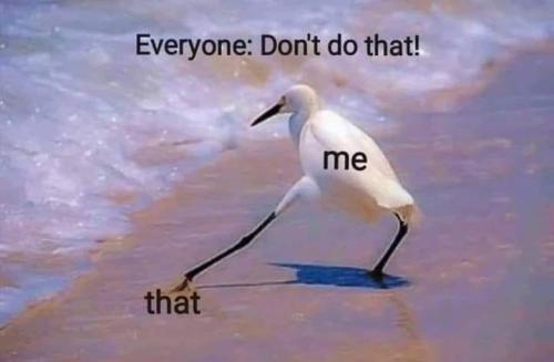 250708177_3084410378549040_3278464538656552022_n