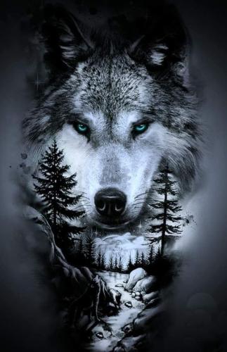 8faa8cc081c9f33d95eb0f3813ad2685