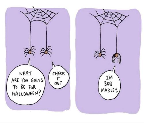 FB_IMG_1635712789165