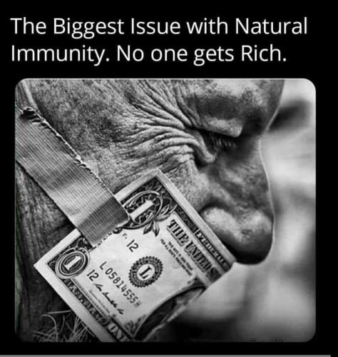 FB_IMG_1634166802785