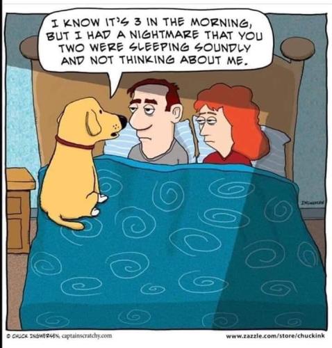 245055013_6260793297327469_4475967179864623572_n