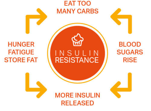 insulin resistance and blood sugars