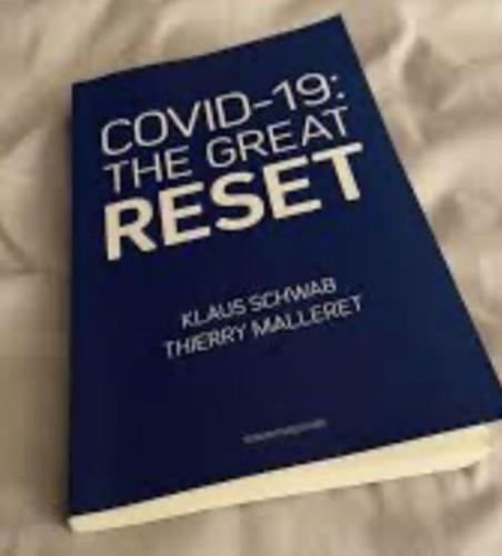 The_Great_Reset_Book