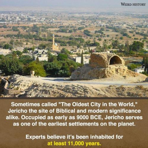 243888137_121419586929924_7196607611326835940_n