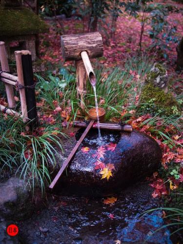 244255567_6210387719032895_4595835039904934594_n