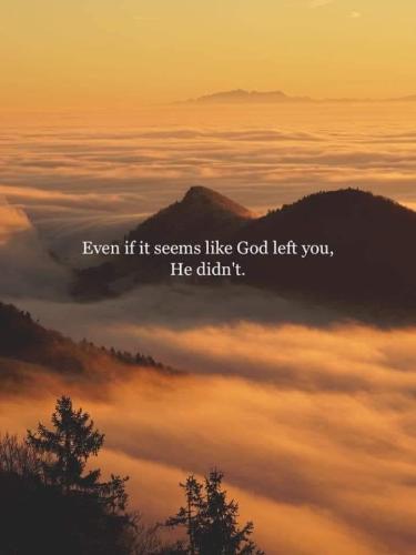 CC66F912-B430-4C09-A9EB-A044064A0E83