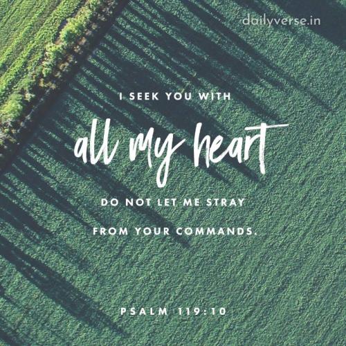 08:15:22 GMT-0400 (EDT)