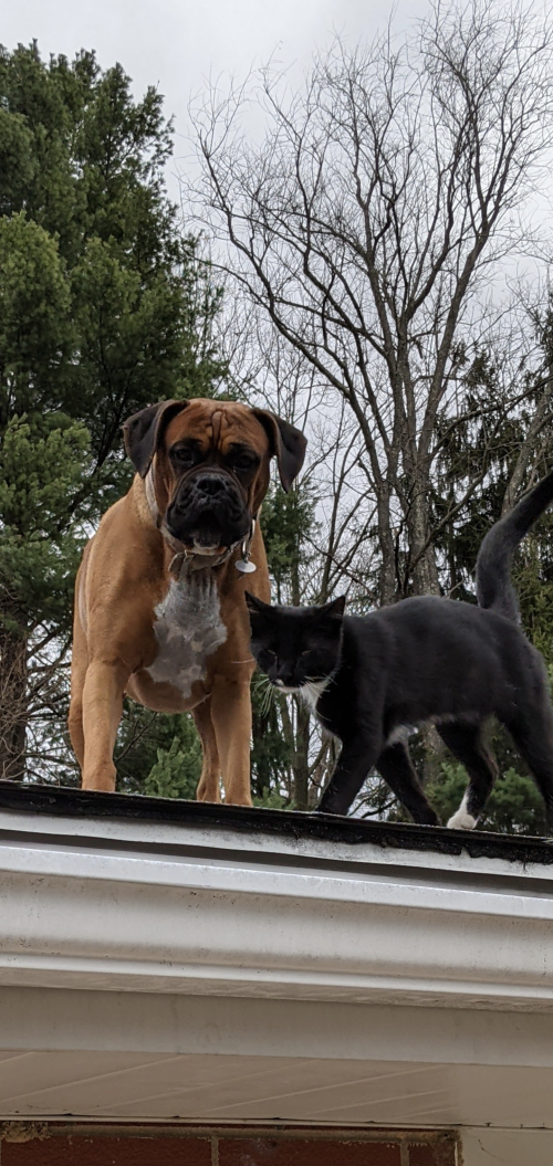 16:55:57 GMT-0400 (EDT).png