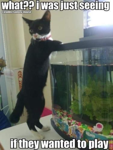 244005539_10159894630143255_2138192021809746192_n