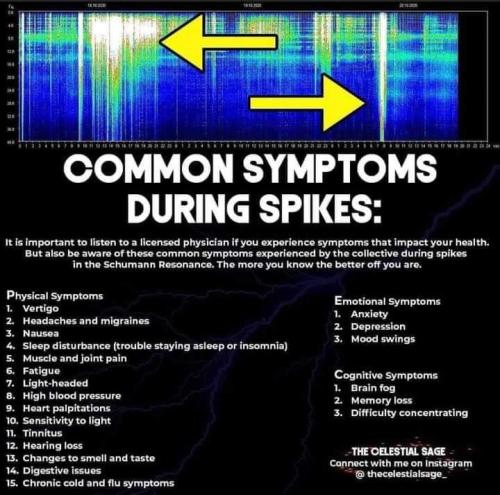 FB_IMG_1635265077590