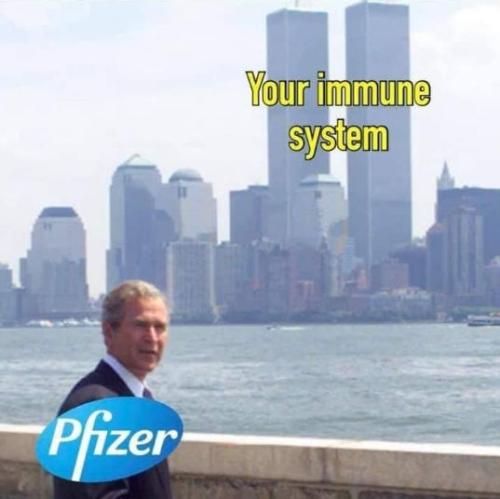 pfizer14