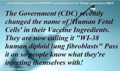 image_1634594085.951