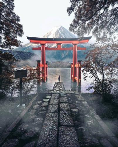 243643721_408861343943207_6509484020941496245_n