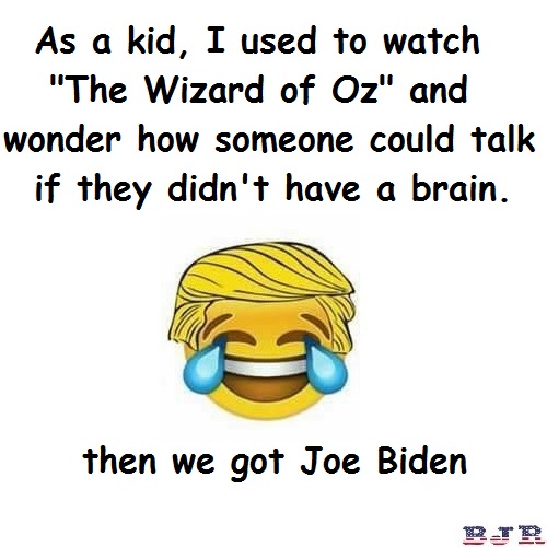 Joe Biden brain