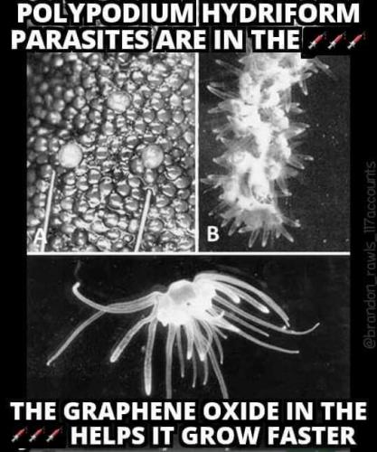 17:56:22 GMT-0500 (CDT)