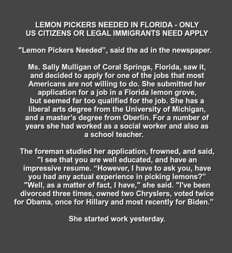 lemon_picker_job