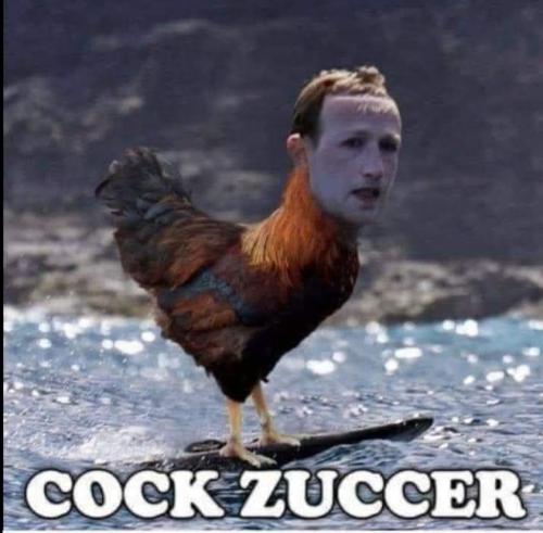 Screenshot_20211030-144823_DuckDuckGo