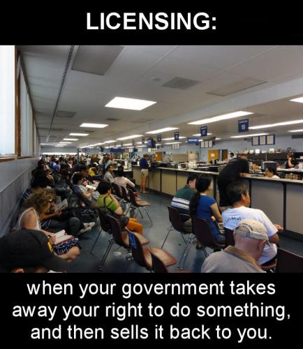 zgovernment98